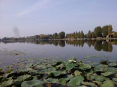 Lac de Mantoue